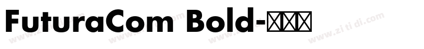 FuturaCom Bold字体转换